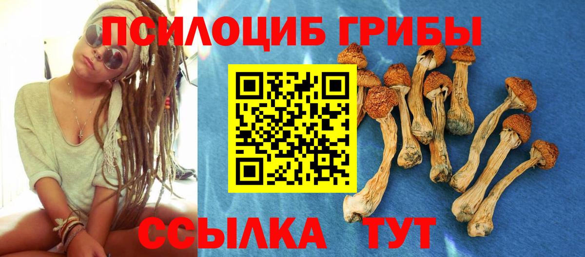 Псилоцибиновые грибы Cubensis  Псилоцибиновые грибы ЛСД  Нарткала  Вход с VPN 